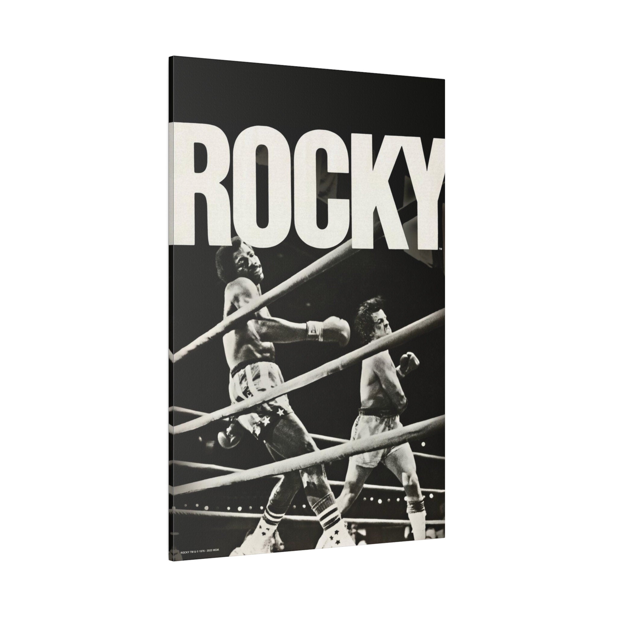 Rocky and Apollo B/W Custom Canvas Wall Print