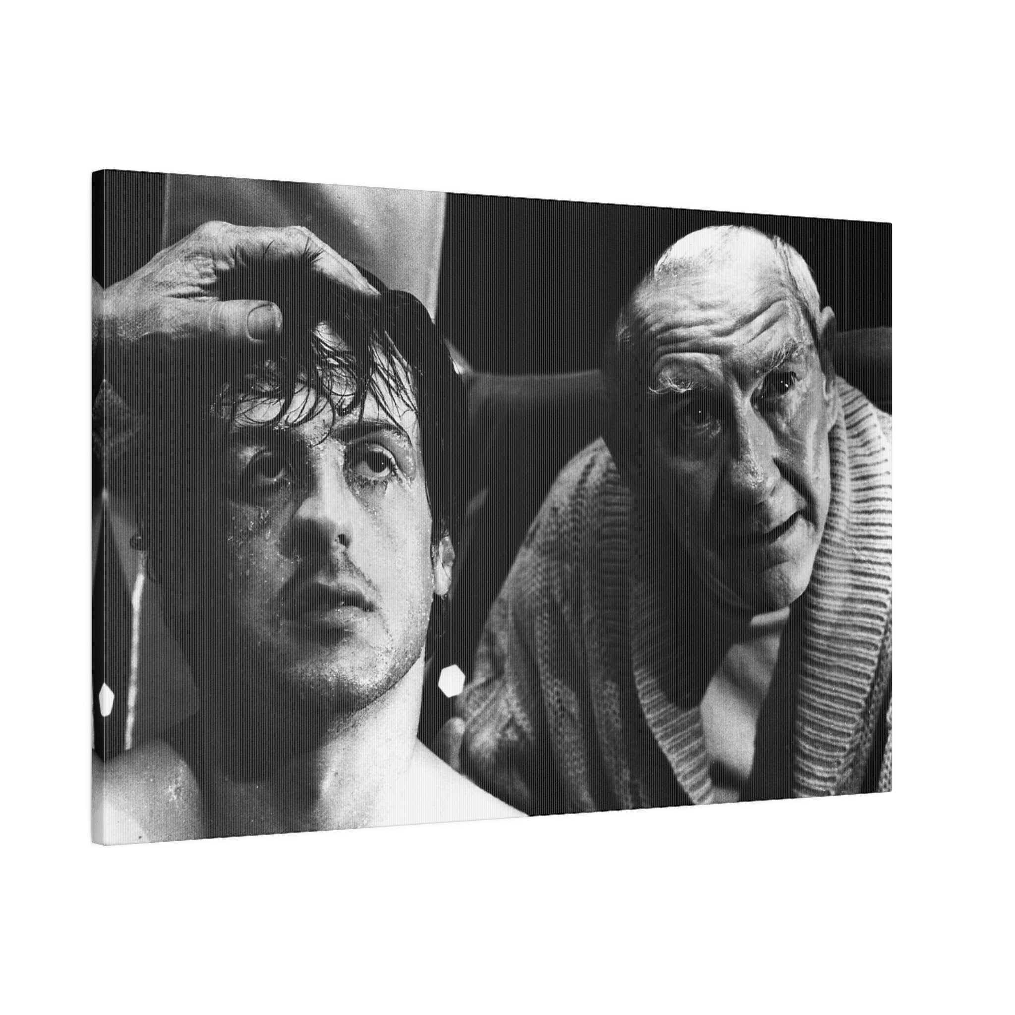 Rocky and Mick B/W Custom Canvas Wall Print