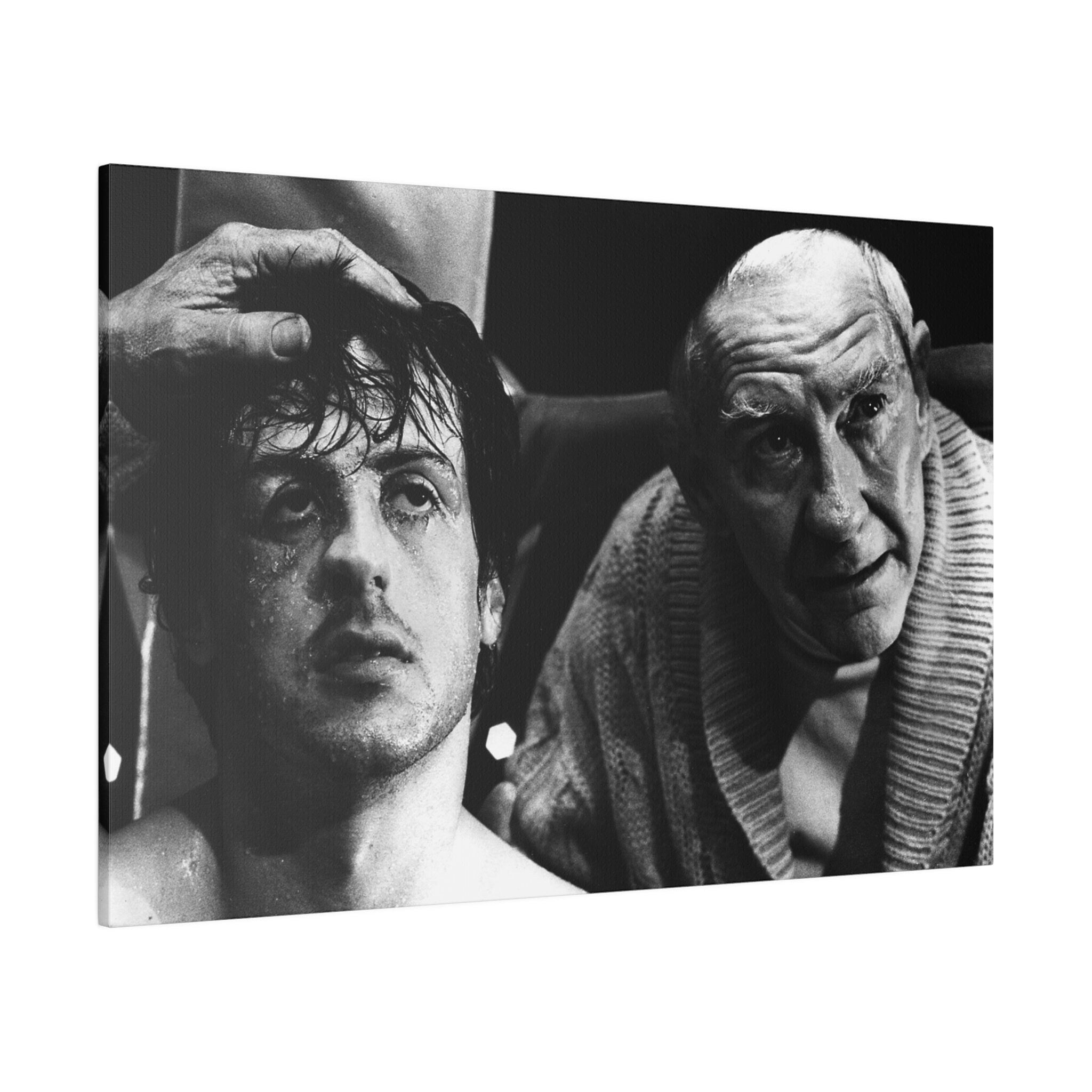 Rocky and Mick B/W Custom Canvas Wall Print