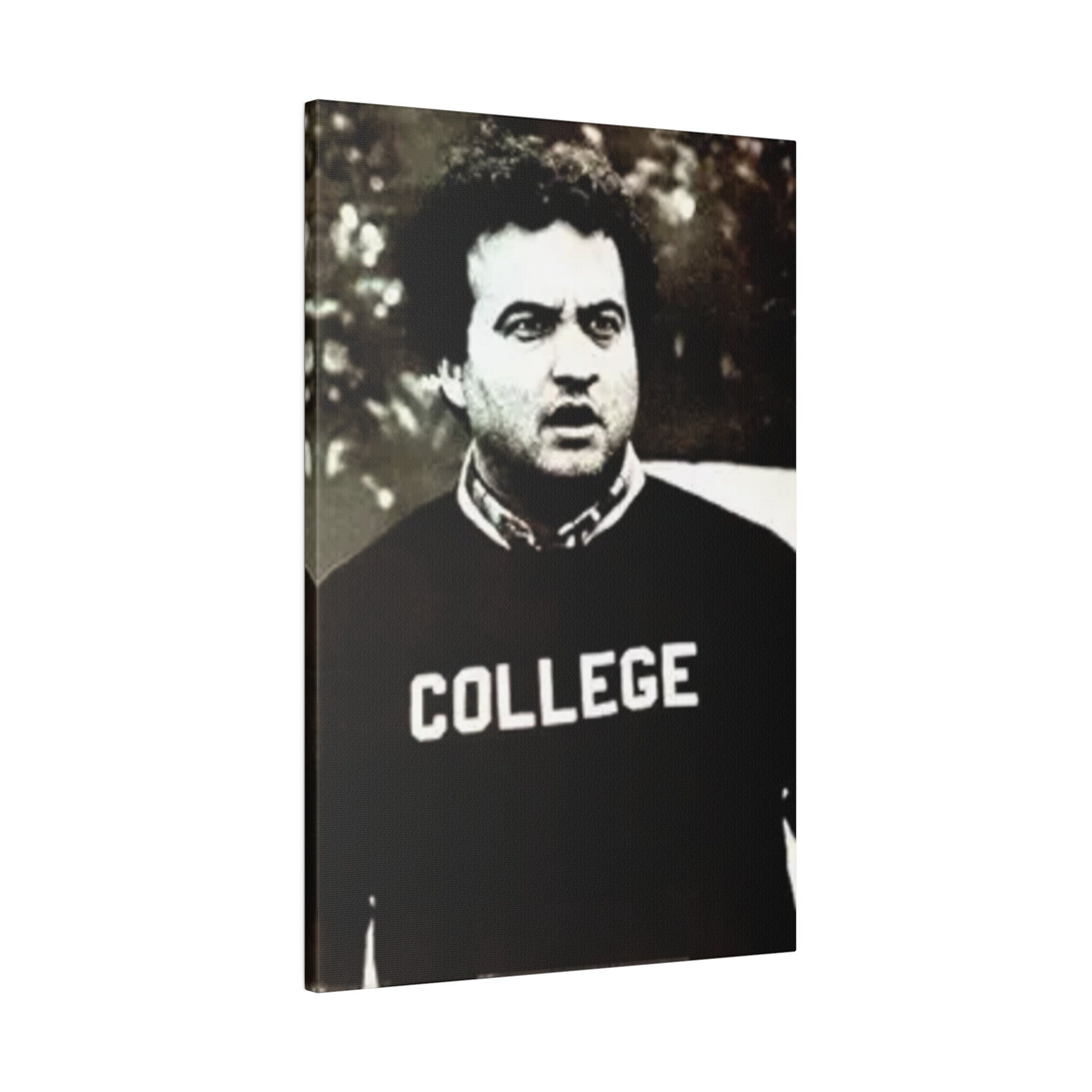 Animal House John Belushi College Poster Custom Canvas Wall Print