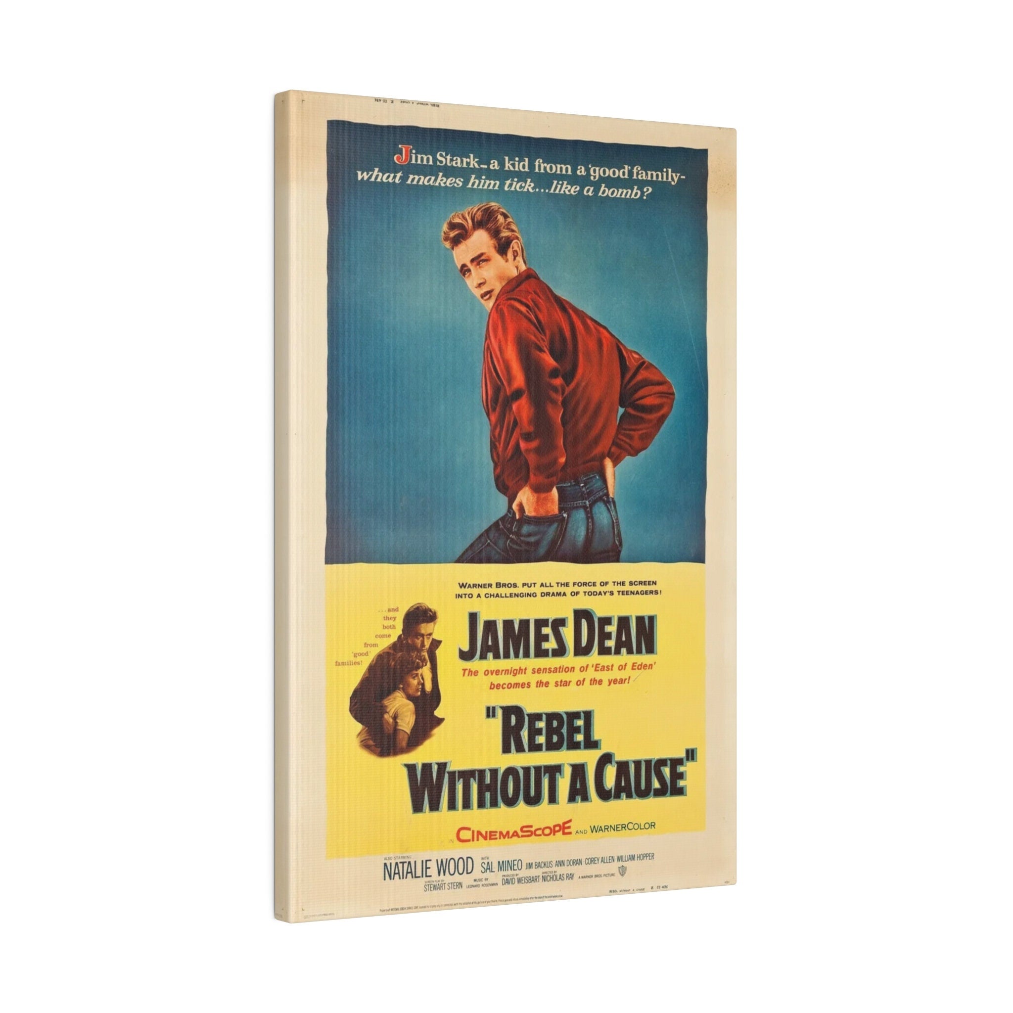 James Dean Rebel Without A Cause Vintage Movie Poster Custom Canvas Wall Print