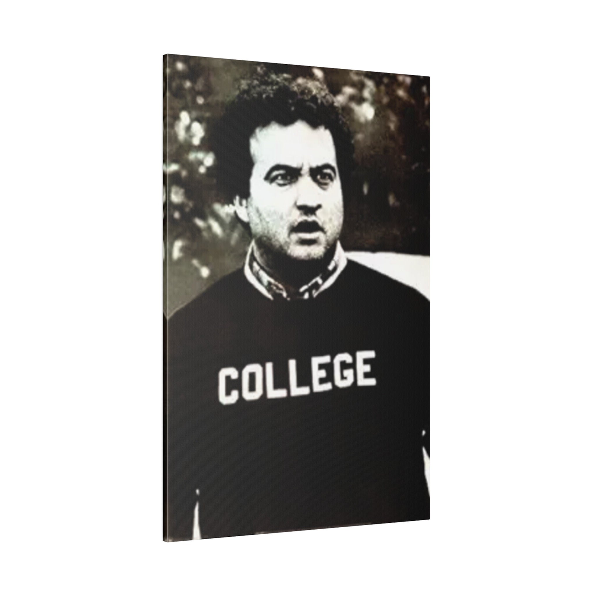 Animal House John Belushi College Poster Custom Canvas Wall Print