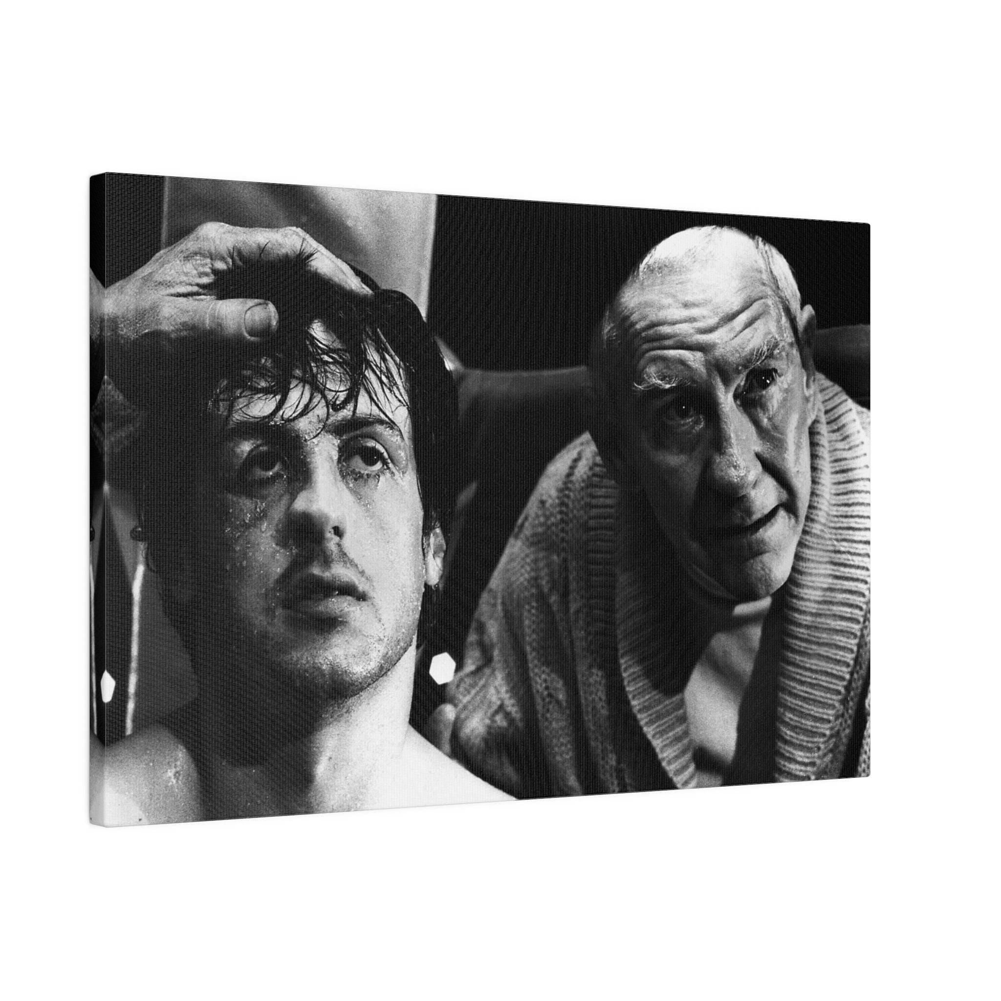 Rocky and Mick B/W Custom Canvas Wall Print